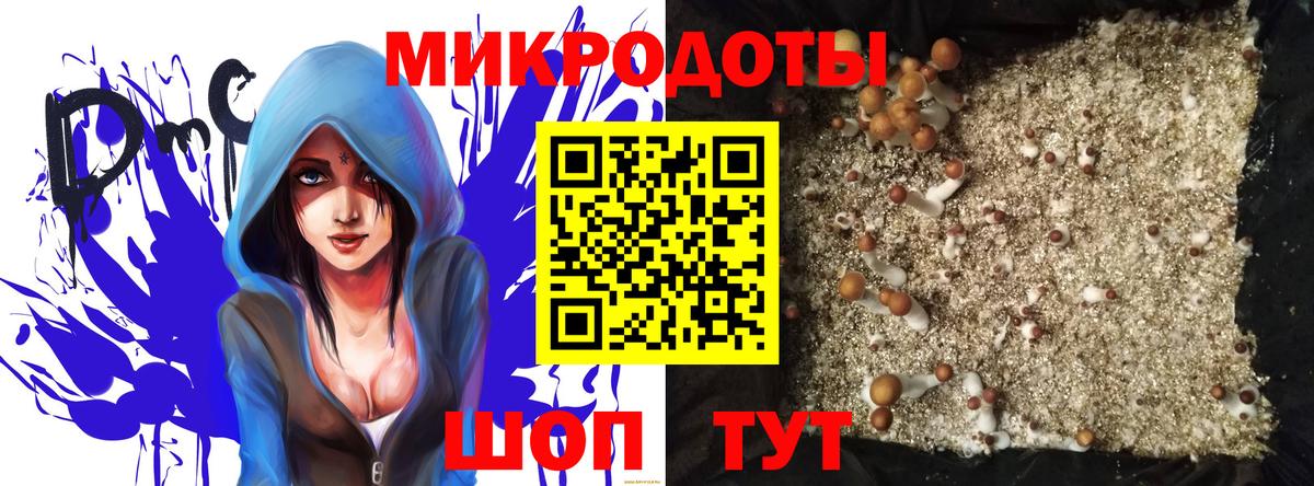 Псилоцибиновые грибы мицелий  Вход с VPN  Луга  Псилоцибиновые грибы мухоморы 