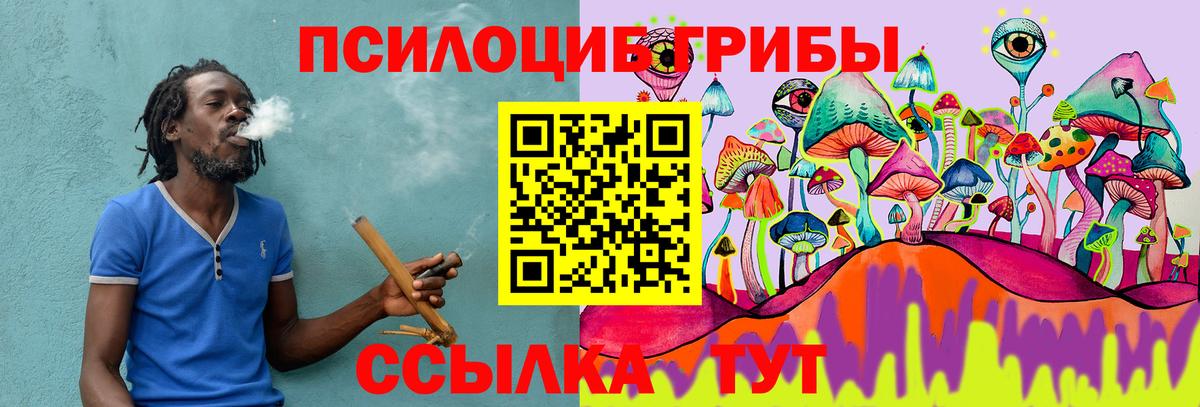 MDMA Луга