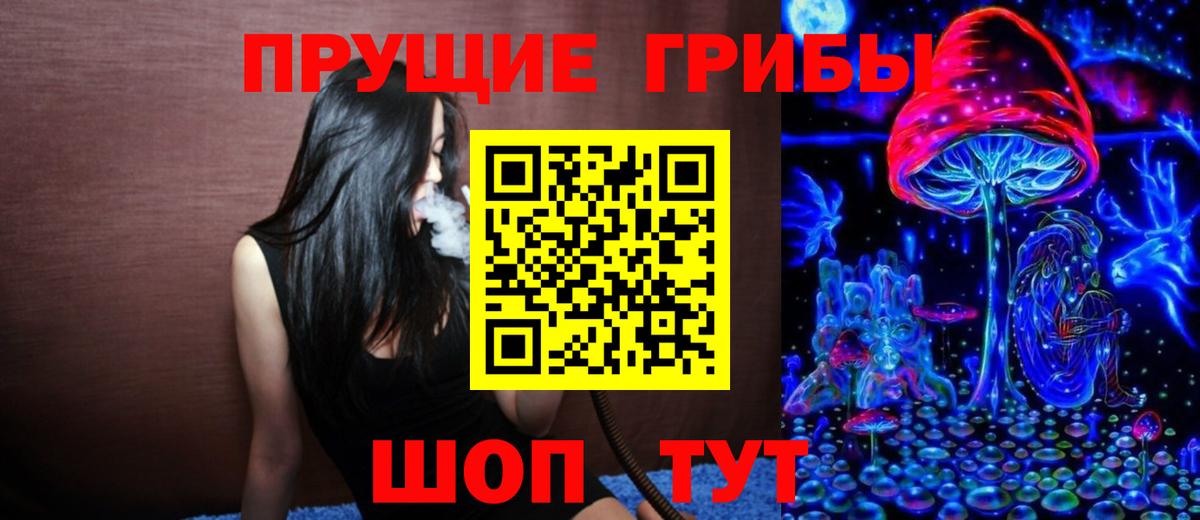 Галлюциногенные грибы ЛСД Луга